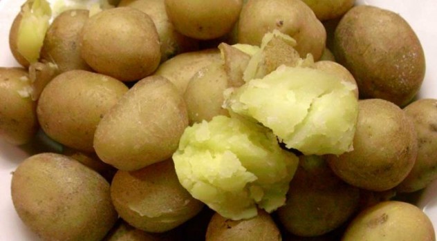 contoh tanaman hidroponik kentang-kecil